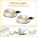 Copper Wire LED Fairy Lights