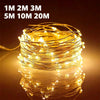 Copper Wire LED Fairy Lights