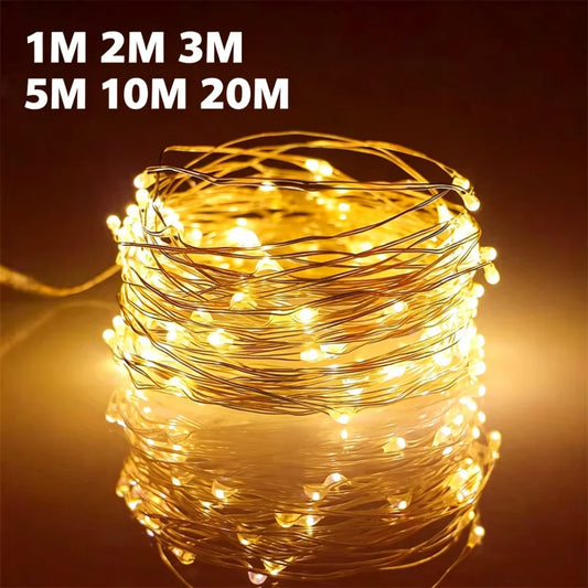 Copper Wire LED Fairy Lights