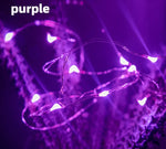 Copper Wire LED Fairy Lights